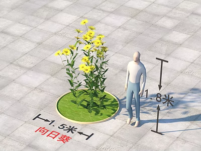 Bright Yellow Sunflower Plant in Circular Planter with 1.5 Meters Diameter and Human Figure 3d model