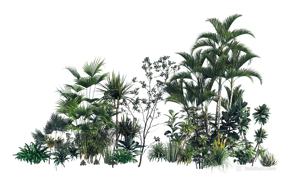 Diverse Tropical Garden Plants With Lush Green Foliage And Leafy Shrubs 3d model 