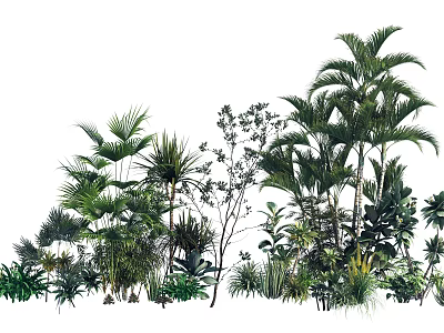 Diverse Tropical Garden Plants With Lush Green Foliage And Leafy Shrubs 3d model