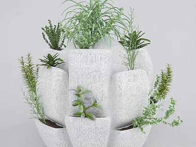 Decorative White Multi Pot Bonsai Potted Plants with Green Succulents and Small Plants 3d model