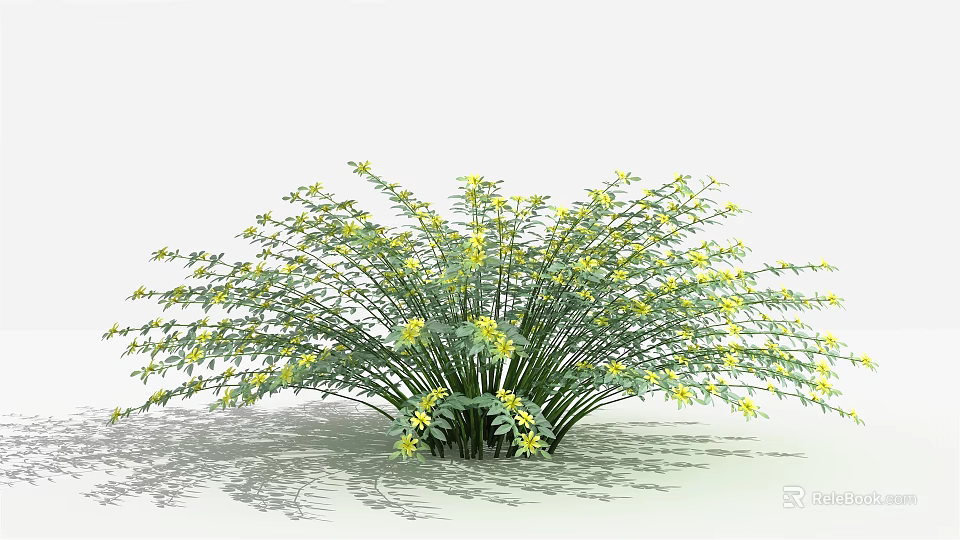 Green Leafy Shrub With Yellow Small Flowers In Natural Outdoor Garden Setting 3d model 