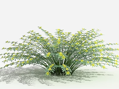 Green Leafy Shrub With Yellow Small Flowers In Natural Outdoor Garden Setting 3d model