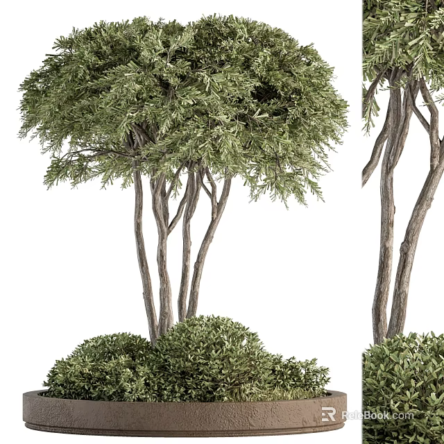 Decorative Ornament Combination With Green Trees Shrubs And Natural Branches Leaves 3d model 