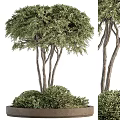 Decorative Ornament Combination With Green Trees Shrubs And Natural Branches Leaves