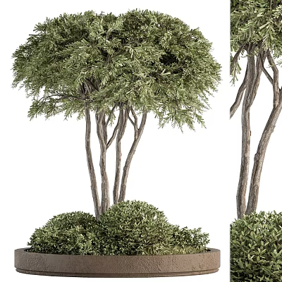 Decorative Ornament Combination With Green Trees Shrubs And Natural Branches Leaves 3d model