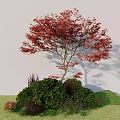 Red Leaf Tree With Green Shrubs And Lush Grass In Garden Landscape