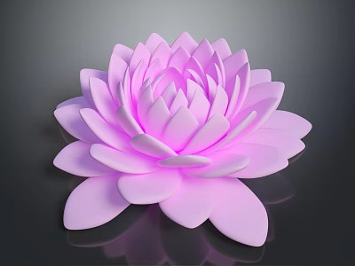 Pink Lotus Flower with Layered Petals on Dark Background showing Clear Reflection 3d model