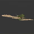 Game and Movie Character in Sandy Terrain with Rocks Branches and Green Plants