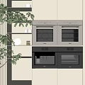Modern Built in Kitchen Appliances with Double Ovens Microwave and Cabinetry Plus Green Plants