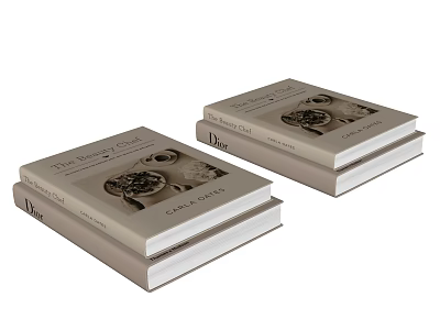 Dior Fashion Books With Black And White Cover Photos And Classic Design 3d model