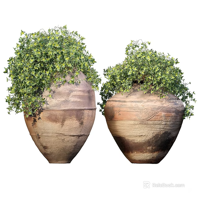 Lush Green Bonsai Plants In Large Terracotta Planters With Natural Texture 3d model 