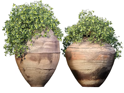 Lush Green Bonsai Plants In Large Terracotta Planters With Natural Texture 3d model