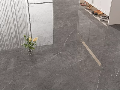 Gray Marble Floor Tiles With Polished Surface In Entrance With Shoe Cabinet And Decorative Plants 3d model