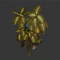 Lush Potted Plant With Broad Brownish Yellow Leaves And White Veins