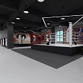 Modern Spacious Fitness Gym Training Area With Boxing Punching Bags And Equipment