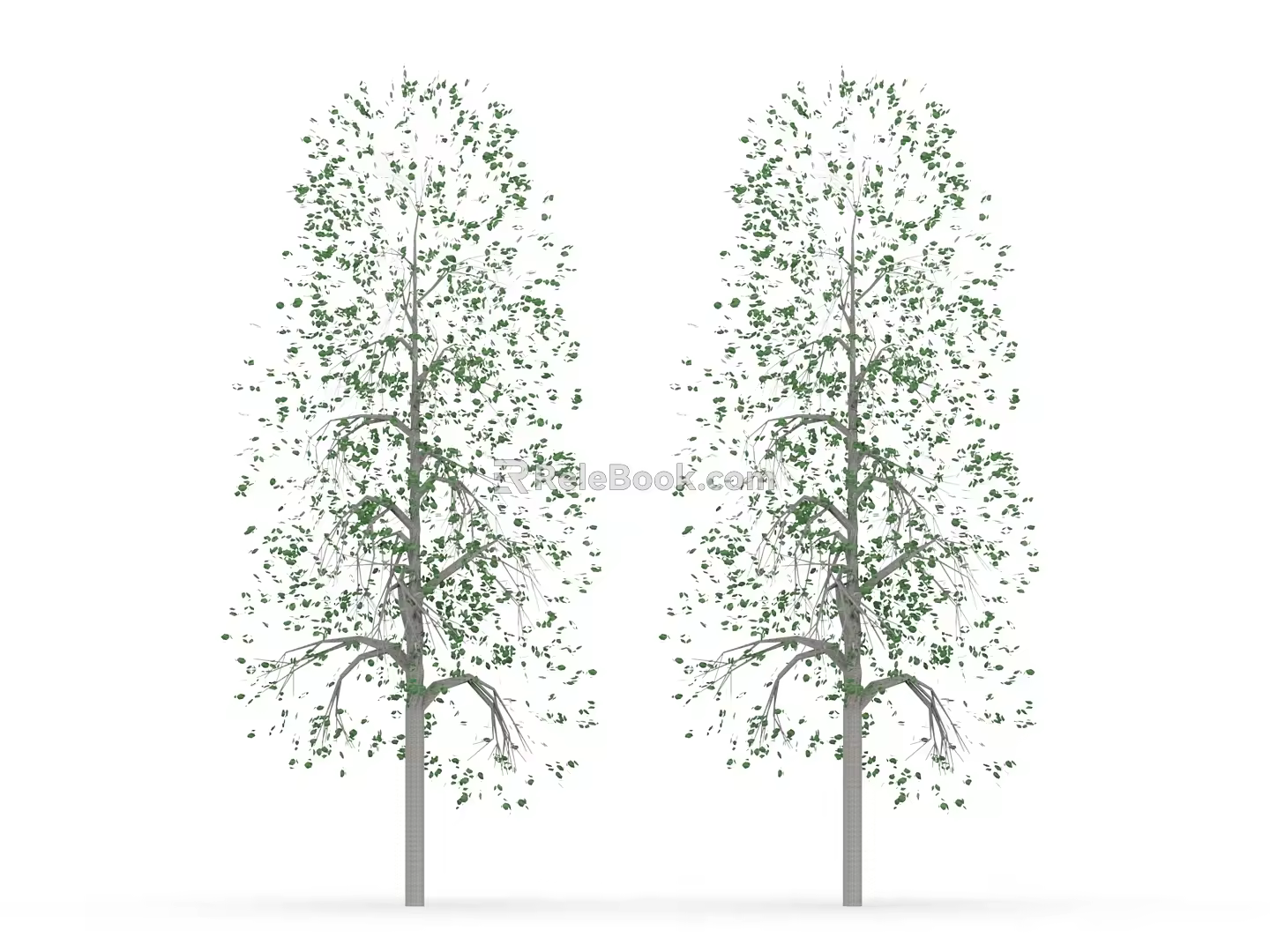 character arbor tree 3d model