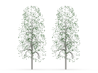 character arbor tree 3d model