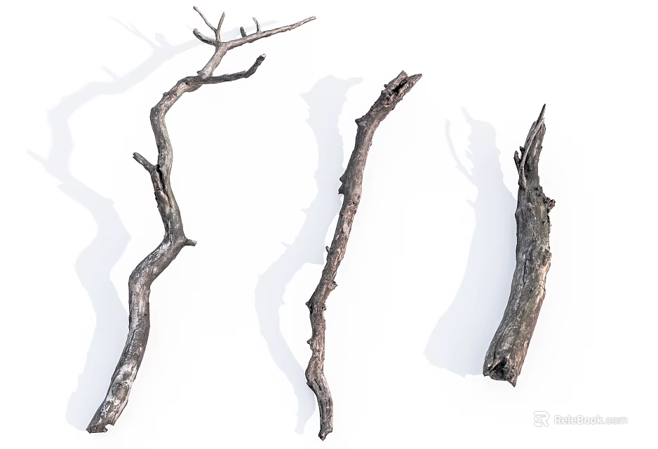 Natural Dried Wooden Branches with Shadow for Decorative Display on White Background 3d model 