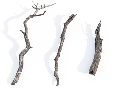 Natural Dried Wooden Branches with Shadow for Decorative Display on White Background 3d model