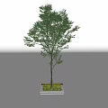 Lush Green Leafy Arbor With Sturdy Brown Trunk And Decorative Square Base 3d model