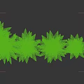 Fresh Green Ferns In Various Sizes Arranged As Decorative Indoor Plants