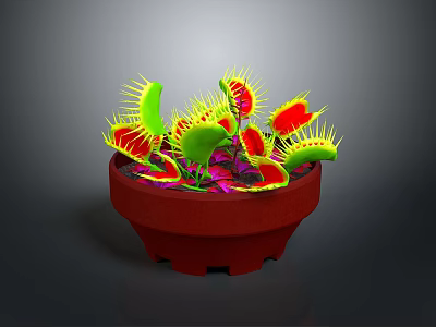 Venus flytrap plant in red pot with green leaves yellow spines and red interior against dark background 3d model