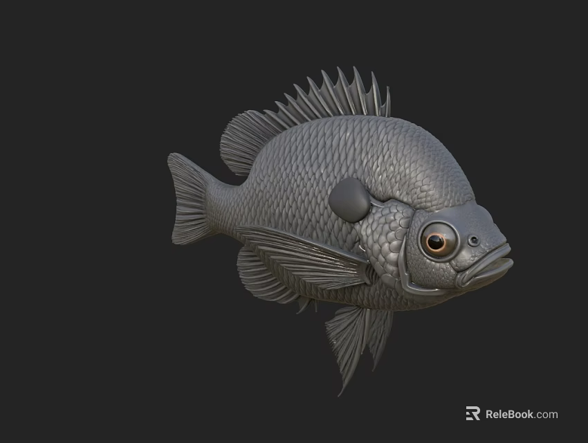 Gray Fish 3D Model With Detailed Scales Fins And Large Eyes 3d model 