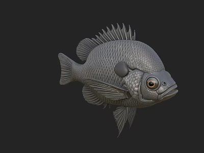 Gray Fish 3D Model With Detailed Scales Fins And Large Eyes 3d model