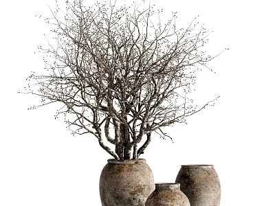 Bonsai Plant with Bare Branches in Three Rustic Terracotta Pots Natural Texture 3d model