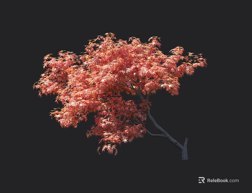 Stunning Red Maple Arbor Featuring Lush Autumn Leaves And Elegant Branch Design 3d model 