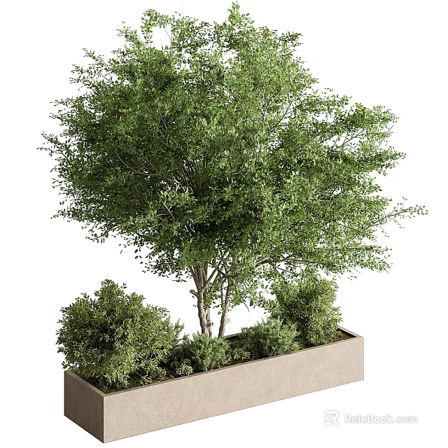 Stylish Garden Decorative Arrangement With Rectangular Planter Medium Tree And Surrounding Shrubs 3d model 