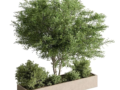 Stylish Garden Decorative Arrangement With Rectangular Planter Medium Tree And Surrounding Shrubs 3d model