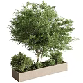 Stylish Garden Decorative Arrangement With Rectangular Planter Medium Tree And Surrounding Shrubs 3d model