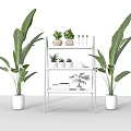 Succulent Plants Arrangement On White Ladder Shelf With Large Green Plants Indoor