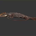 Red Brown Lizard With Distinct Head And Textured Skin On Dark Background