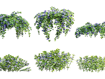 Different Varieties of Bushes With Hanging Branches Purple Flowers And Lush Foliage 3d model
