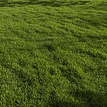 modern lawn 3d model