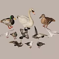 goose duck goose dove seagull 3d model