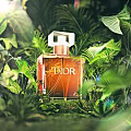 Dior Perfume in Lush Green Tropical Plants with Elegant Bottle and Natural Sunlight