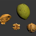 Fresh Walnuts Featuring Whole Green Brown Cracked Shell And Kernel On