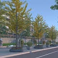 Municipal Road With Lined Trees Flower Beds And Sidewalks Along Residential Buildings