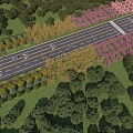 Country road trees cherry trees golden leaf elm rose road aerial view 3d model