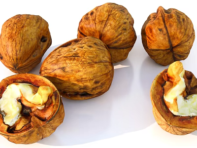 Fresh Organic Whole Walnuts With Cracked Shells And Edible Kernels 3d model