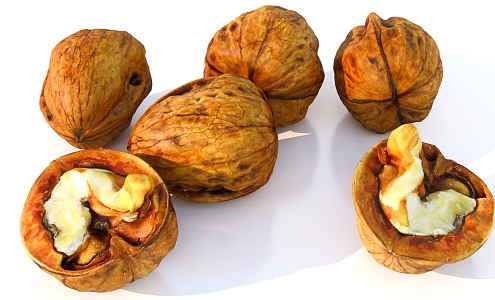 Walnut dried fruit food snack 3d model