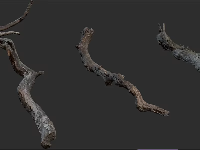 Natural Rustic Stone Wood Branches With Organic Texture And Curved Shapes 3d model