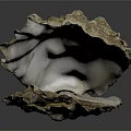Open Oyster Shell With Textured Surface Isolated On Dark Background 3d model