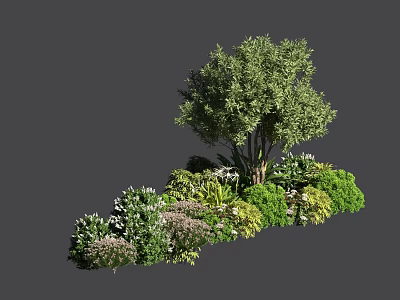 Mixed Evergreen Shrubs For Garden Landscaping With Colorful Foliage And Varieties 3d model