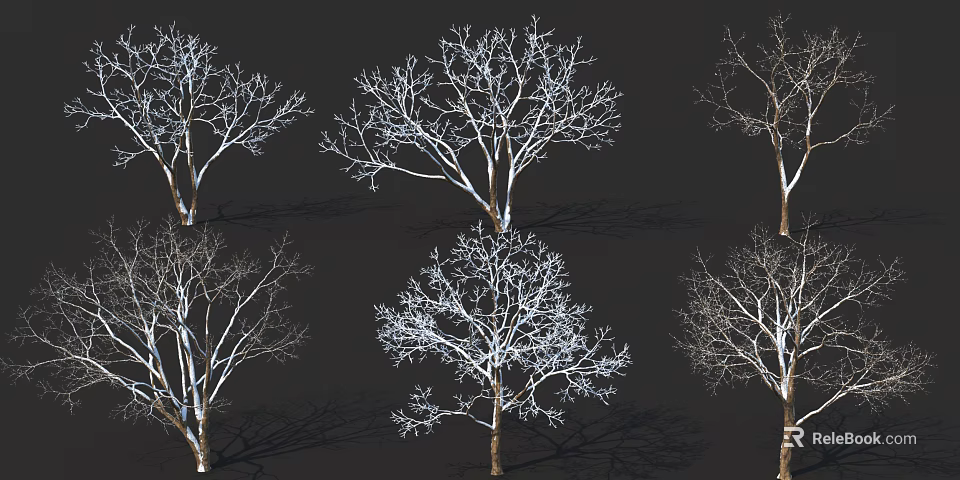 Bare Deciduous Trees With Intricate Branch Details And Shadow Effects On Dark Background 3d model 
