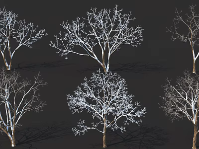 Bare Deciduous Trees With Intricate Branch Details And Shadow Effects On Dark Background 3d model