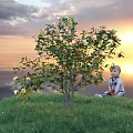 Flowering Tree With White And Pink Blooms And Child Sitting On Green Grass Under Sunset